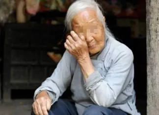 奶奶88歲大壽，4個「親生兒子」沒人來，只有「小孫女」送去一個蛋糕：臨終遺言讓全家傻住！