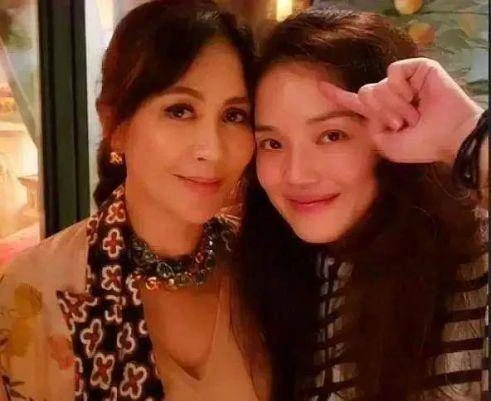 舒淇去劉嘉玲家做客，中途去廁所，劉嘉玲看後當場「讓人砸了馬桶」：根本無法忍受！