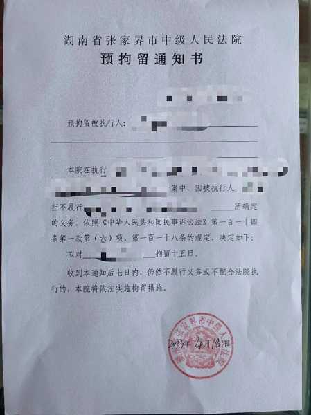 法院強制執行，要求夫妻倆還款。（圖／翻攝自九派新聞）