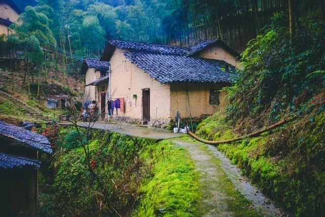 奶奶臨終前囑託院子的樹賣掉後，錢都給爸爸，大伯非要來爭，兩人差點大打出手。直到爸爸接了一通電話，當場老淚縱橫…