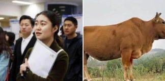 面試官:「牛過獨木橋,答一字?」,女生機智回答,讓全場服氣,直接被錄取