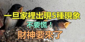 財神來了!一旦家中出現5種現象「萬萬不能慌」 暗示財神要上門「越住越有錢」