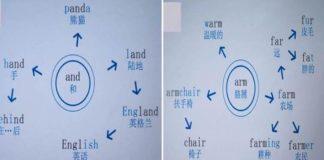 熬了9夜,博士媽媽把國小英語800個單詞,整理成「思維導圖」,孩子一周就記牢