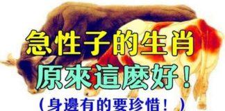 生來就是急性子!雖然脾氣臭「但心眼卻很好」的4生肖,身邊有的要珍惜!