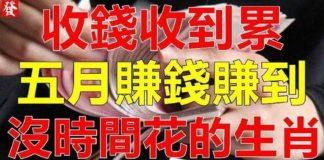 收錢收到累,五月賺錢賺到沒時間花的生肖!