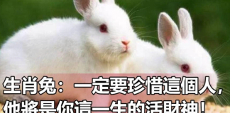 生肖屬兔:一定要珍惜這個人,他將是你這一生的活財神!