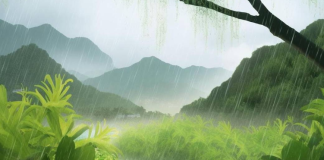 60年不遇!今年穀雨不一般,穀雨有「三怕」:你知道是哪3怕嗎