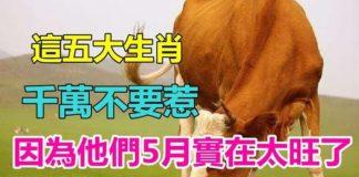 運勢大吉!這五大生肖「千萬不要惹」 因為他們5月「實在太旺了」搖身變成有錢人