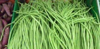 吃對就逆轉!手把手學會「菜豆仔加一物」降壓降糖 防老花眼「糖尿病也有改善」勝過吃補藥