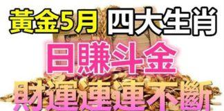 這四大生肖在黃金5月能夠日賺斗金,財運連連不斷