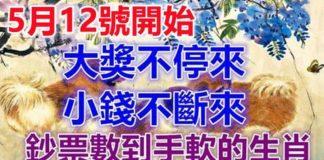 5月12號開始大獎不停來,小錢不斷來,鈔票數到手軟的生肖