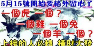 5月15號開始要格外留心了,一個虎,一個?一個雞,一個兔,一個羊,一個?必轉