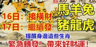 (馬羊兔豬龍虎)16日接橫財,17日繼續發