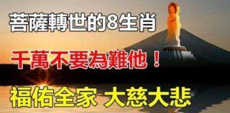 最善良的八生肖,都是菩薩轉世,佛佑全家,大慈大悲