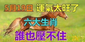 時來運轉,5月19日運氣太旺,誰也壓不住,六大生肖註定財大氣粗