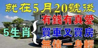 5月20號後最好運的五生肖