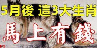 5月後財多福多,發家致富,馬上有錢的生肖