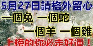 5月27日請格外留心,一個兔,一個蛇,一個羊,一個雞走好運