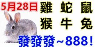 5月28日生肖運勢_雞、蛇、鼠大吉