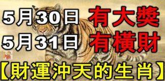 5月30.31日有大獎有橫財,財運沖天的生肖