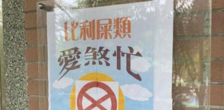 怎麼念?他看到標語「愛煞忙、地摸」愣了:台語還客語? 專業網友解答「全部人笑翻」長知識了