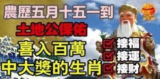 農歷五月十五一到,土地公保佑喜入百萬,中大獎的生肖