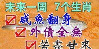 未來一周鹹魚翻身的生肖