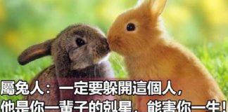 屬兔人注意! 一定要「躲開這2個人」:天生是你的剋星