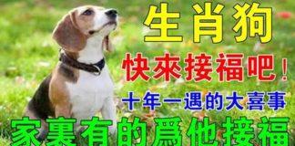 十年一遇!狗年出生的人「大喜事來了」…家人快來接福