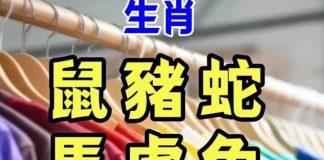 生肖「鼠、豬、蛇、馬、虎、兔」在下半年2024年穿「這3種顏色」衣服最招財