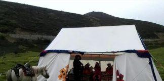 在西藏草原「看到白色帳篷」千萬不要進!老牧民直言:進了誰也救不了你