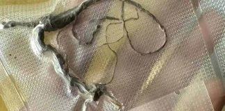 火車上幫老爺爺搬行李!對方「給了不起眼雜草」做謝禮 回家隨手一丟「家人一看嚇呆」