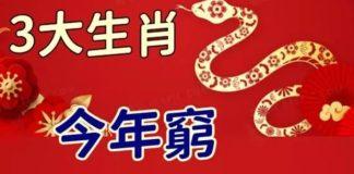 今年窮,明年富,2025年成功轉運的3大生肖