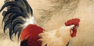 人算不如天算12月9日開始鴻運纏身,財運到,舒舒服服發大財生肖