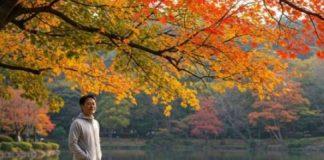 邁入中老年!到底「要不要天天去散步」成煩惱 最新研究指出「沒必要」:一週這次數就夠
